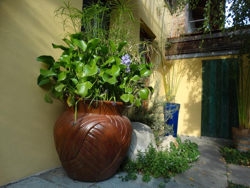 Agriturismo Casa De Colores Moretta Екстериор снимка
