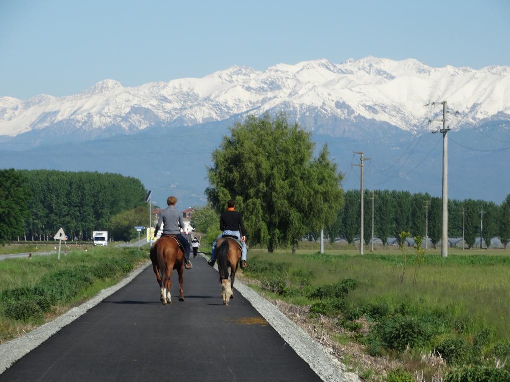 Agriturismo Casa De Colores Moretta Екстериор снимка